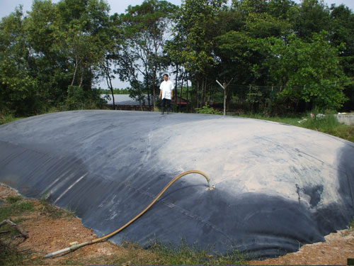 biogas